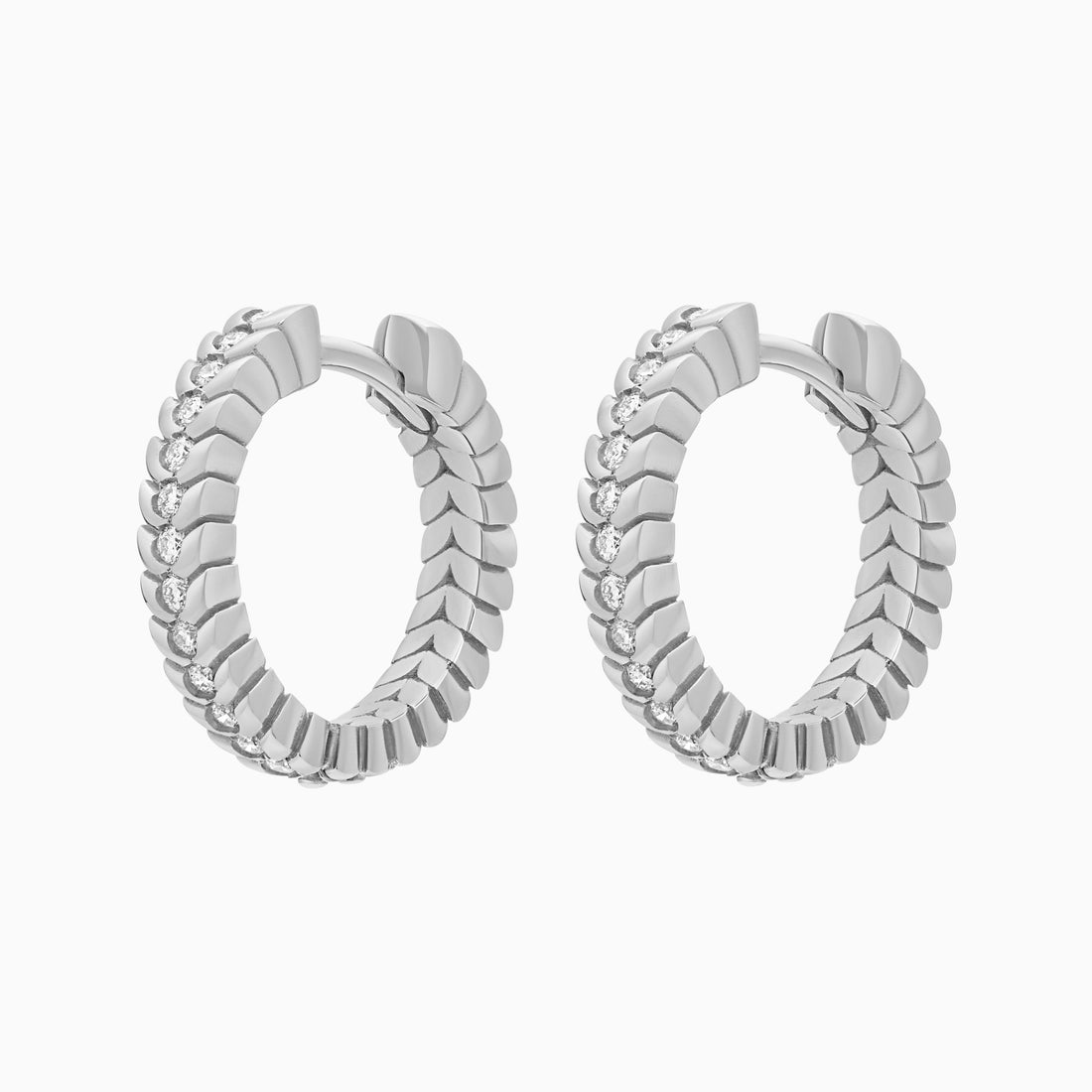 Diamond Alloro Hoop Earrings, Platinum