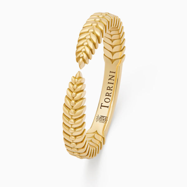 Alloro Open Classic ring, yellow gold