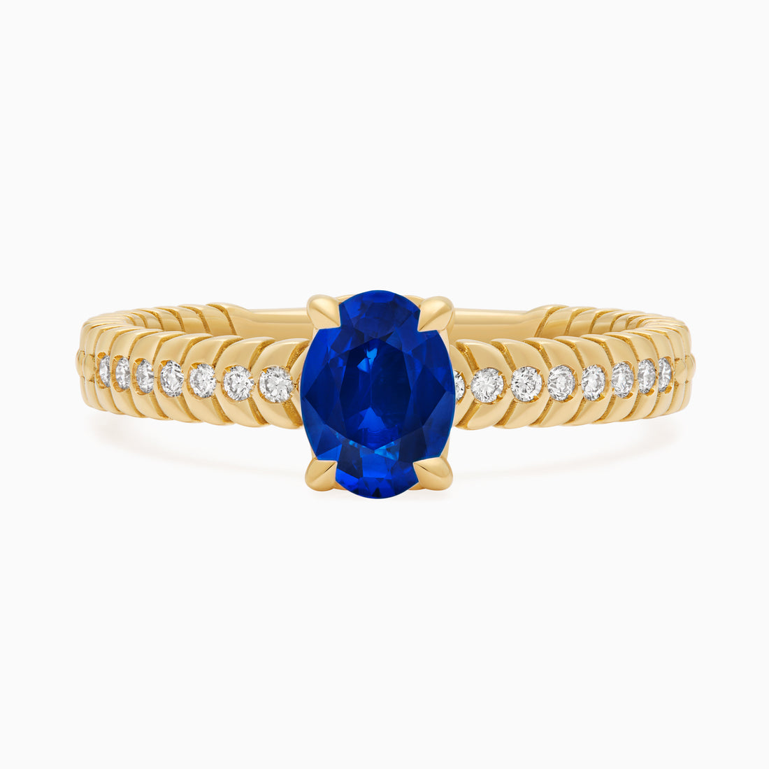 Sapphire Alloro Griffe Medium, yellow gold