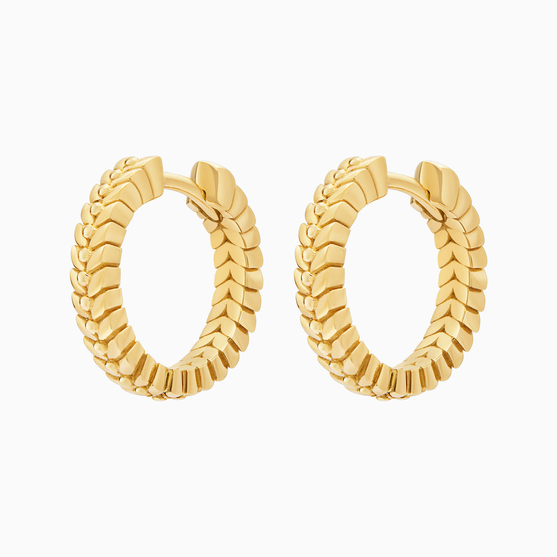 Alloro Hoop Earrings, Yellow Gold